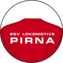 ESV Lok Pirna Freizeitshirt Kids