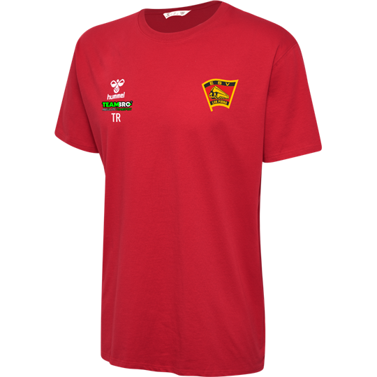 ESV Lok Pirna Freizeitshirt Kinder