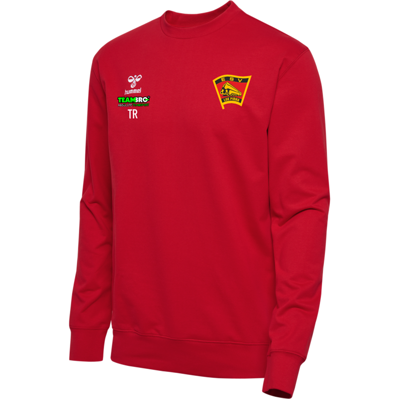 ESV Lok Pirna Pullover Kinder